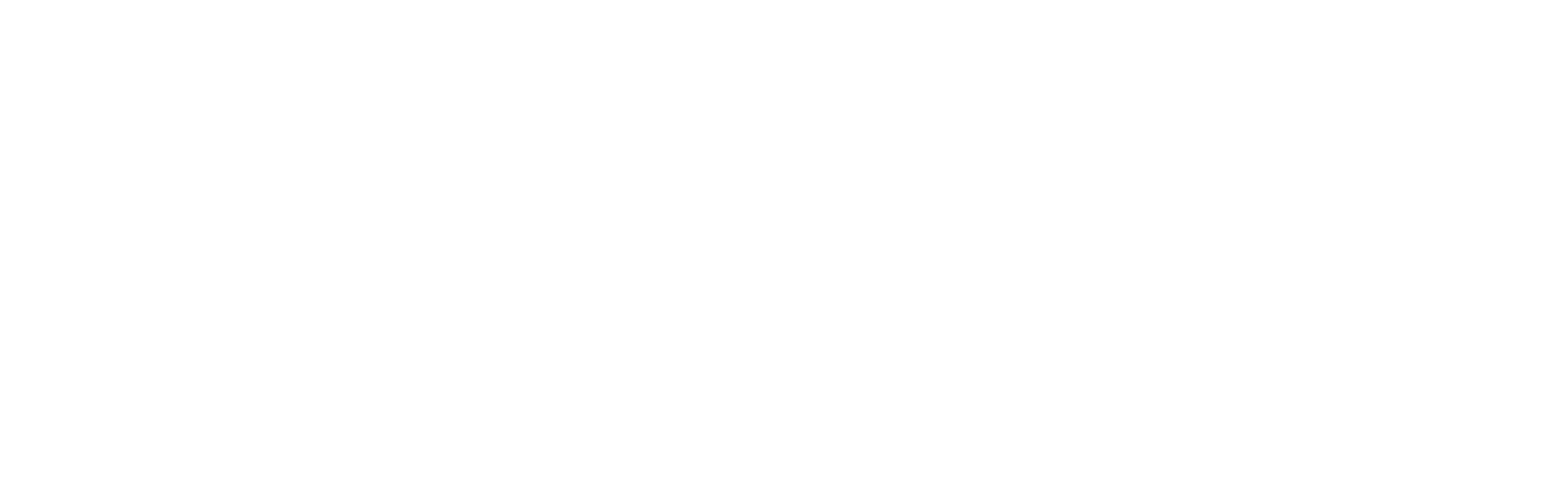 brand-chile-seguro-y-sustentable-white2